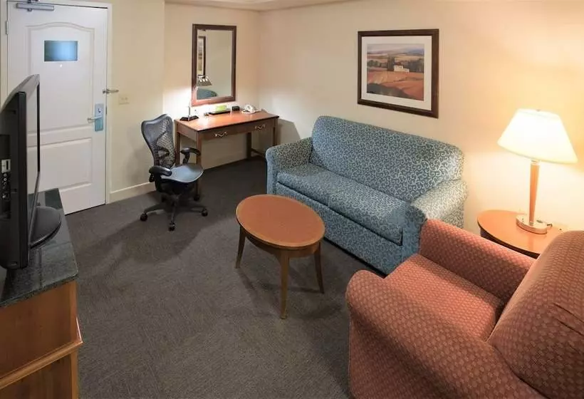 ジュニアスイート, Hilton Garden Inn Wooster