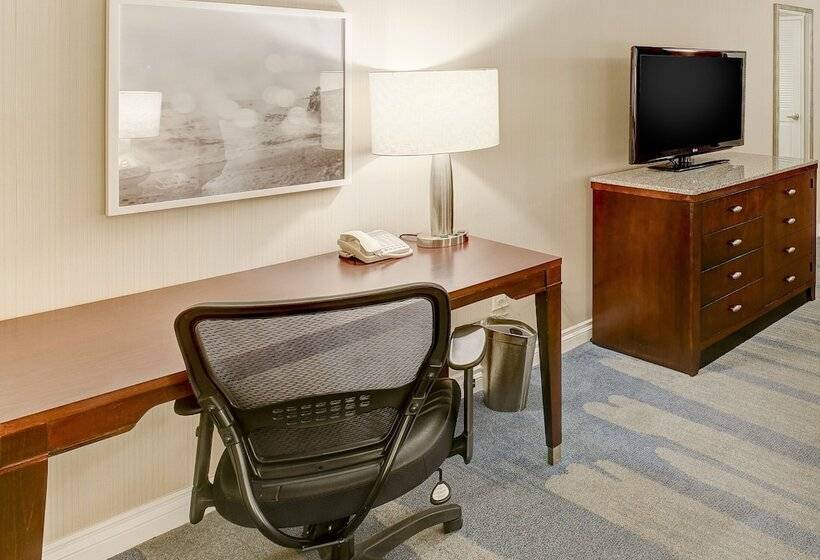 غرفة قياسية سرير كينج لذوى الإحتياجات الخاصة, Hilton Irvine/orange County Airport