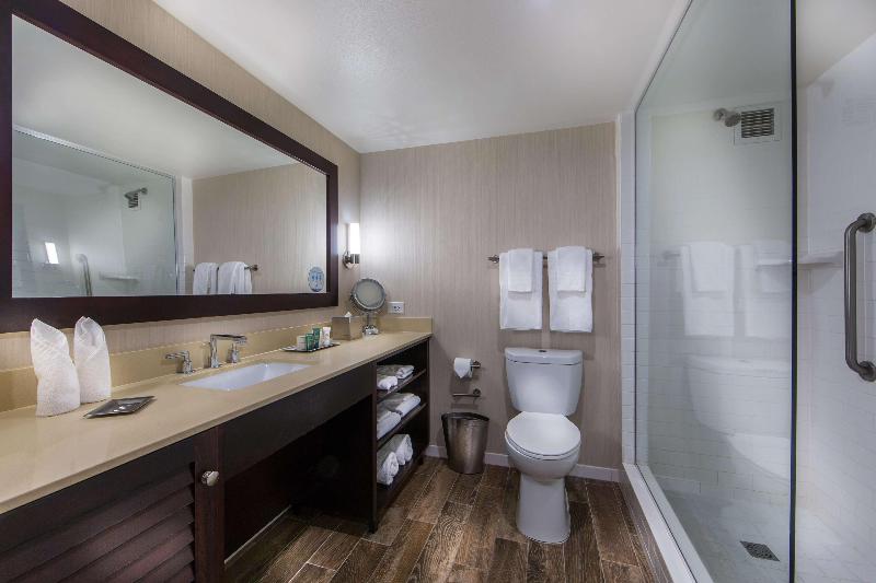 스탠다드 룸 킹사이즈 침대, Hilton Irvine/orange County Airport