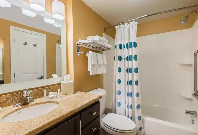 استودیوی استاندارد, Towneplace Suites Tampa Westshore/airport
