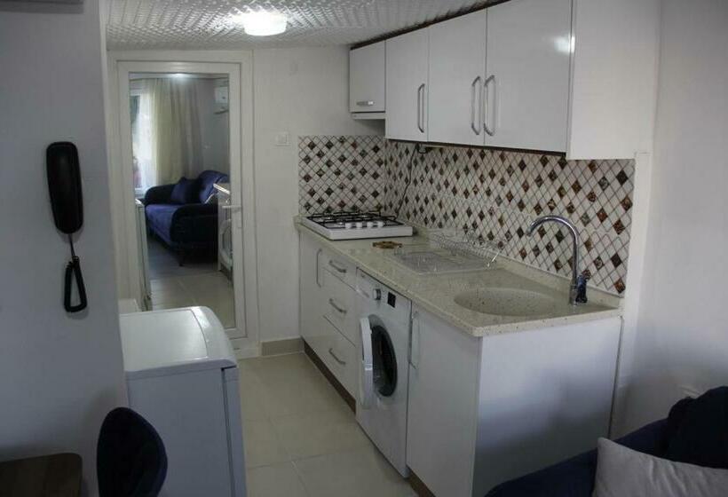 Апартаменты 1 Спальня, Abbasi Apart