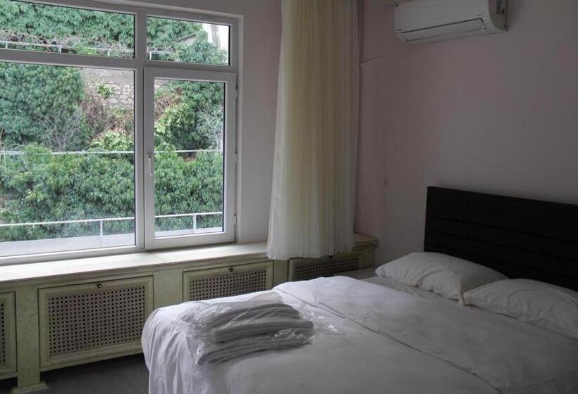 Апартаменты Deluxe 1 Спальня, Abbasi Apart