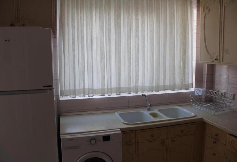 Апартаменты Deluxe 1 Спальня, Abbasi Apart