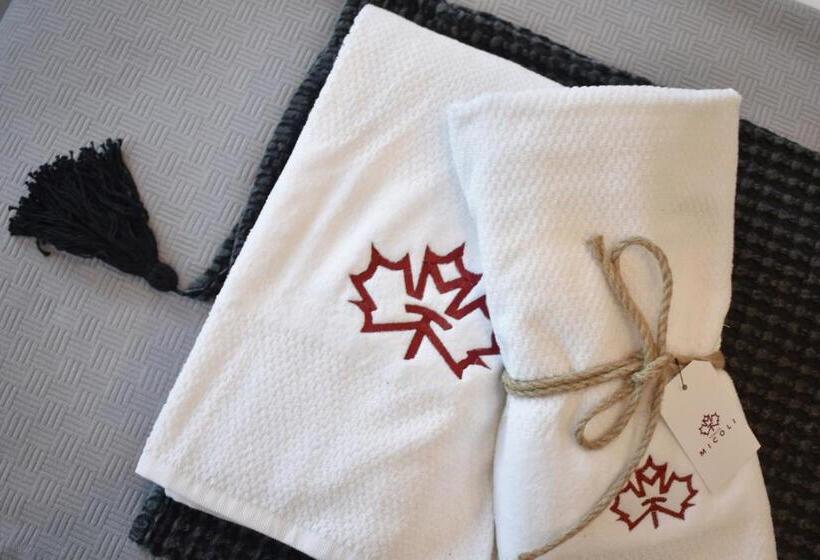 חדר סטנדרט, מיטת קינג, מותאם לאדם עם מוגבלויות, Tenuta Micoli