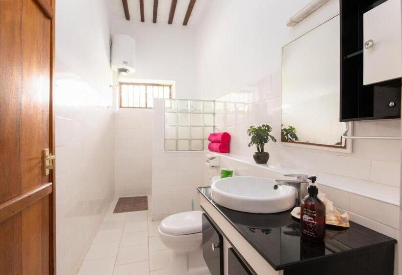 וילת 3 חדרי שינה עם בריכה, Matemwe Rock Villas