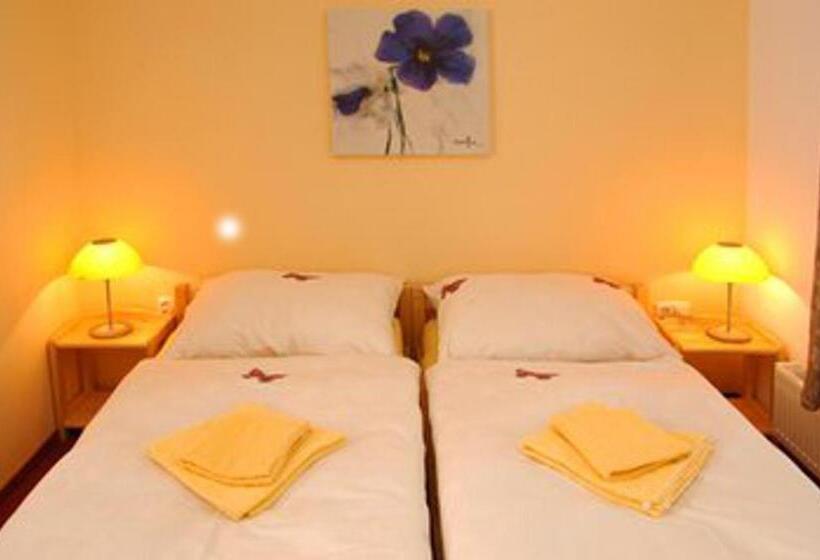 חדר סטנדרט, Penzion Apex