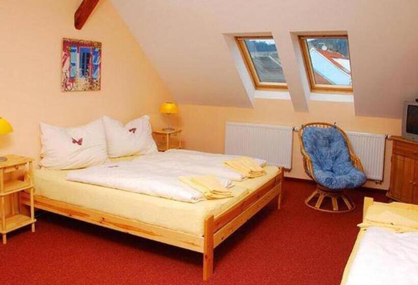 חדר סטנדרט לשלושה, Penzion Apex