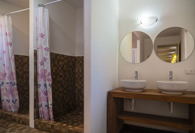 تختخواب در اتاق مشترک, Colorbox Beds And Rooms