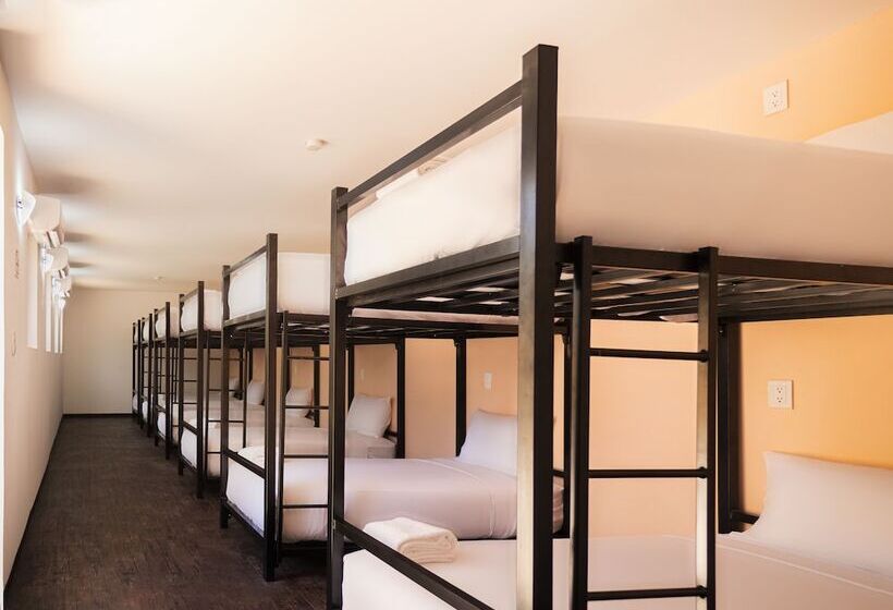 共用房间的床, Colorbox Beds And Rooms