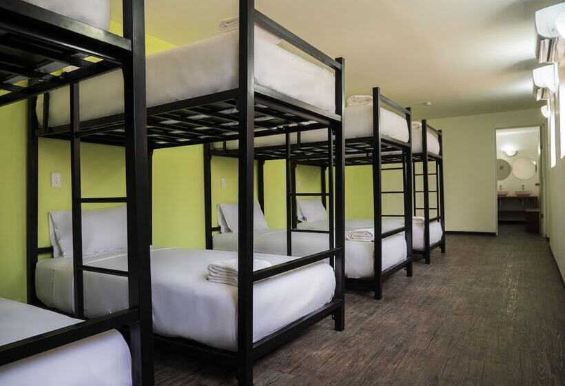 共用房间的床, Colorbox Beds And Rooms