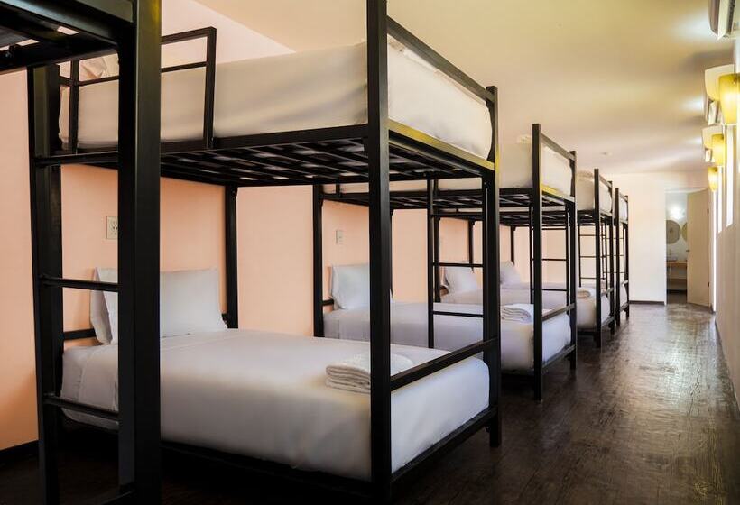 共用房间的床, Colorbox Beds And Rooms