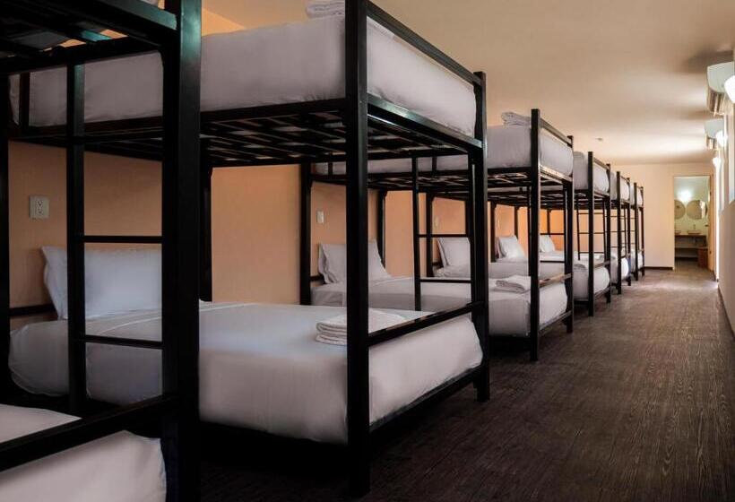 共用房间的床, Colorbox Beds And Rooms