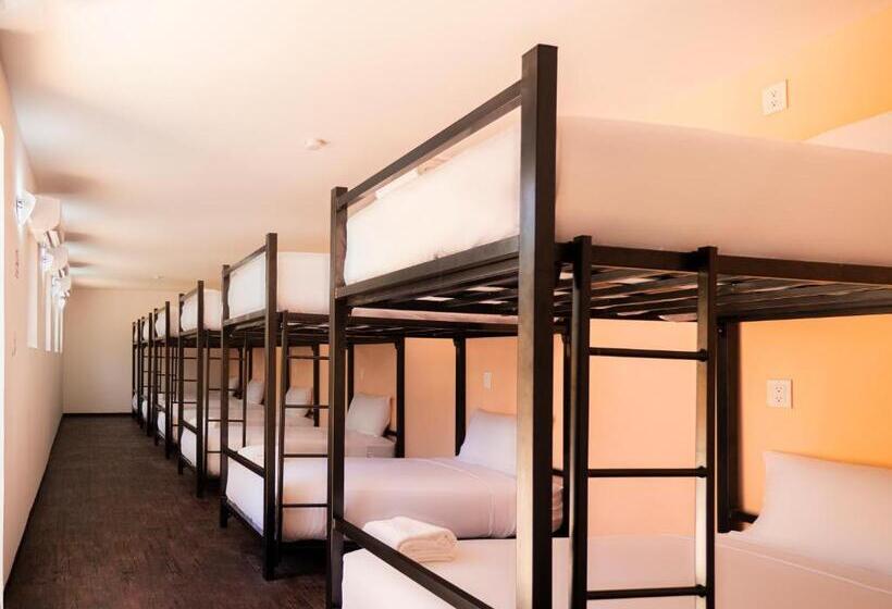 共用房间的床, Colorbox Beds And Rooms