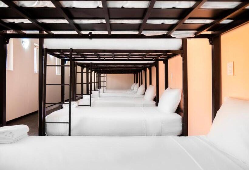 共用房间的床, Colorbox Beds And Rooms