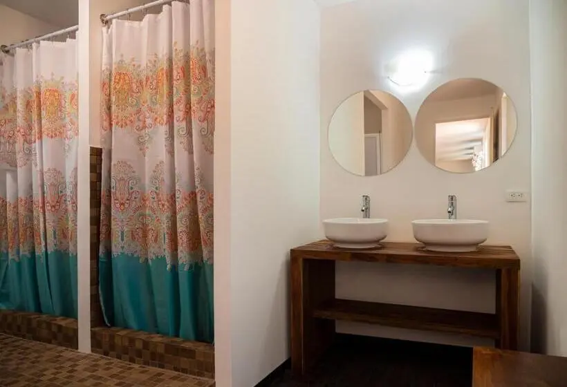 ルームシェアのワンベッド, Colorbox Beds And Rooms