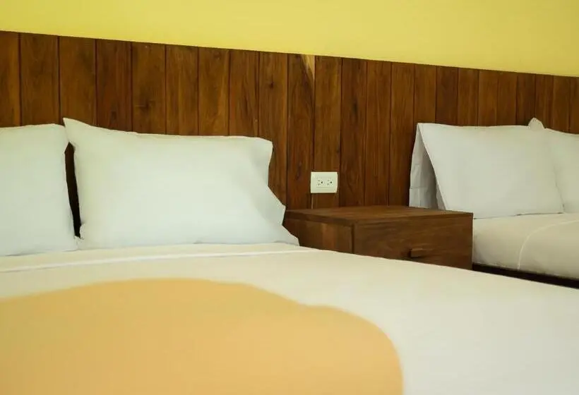 ファミリールーム, Colorbox Beds And Rooms