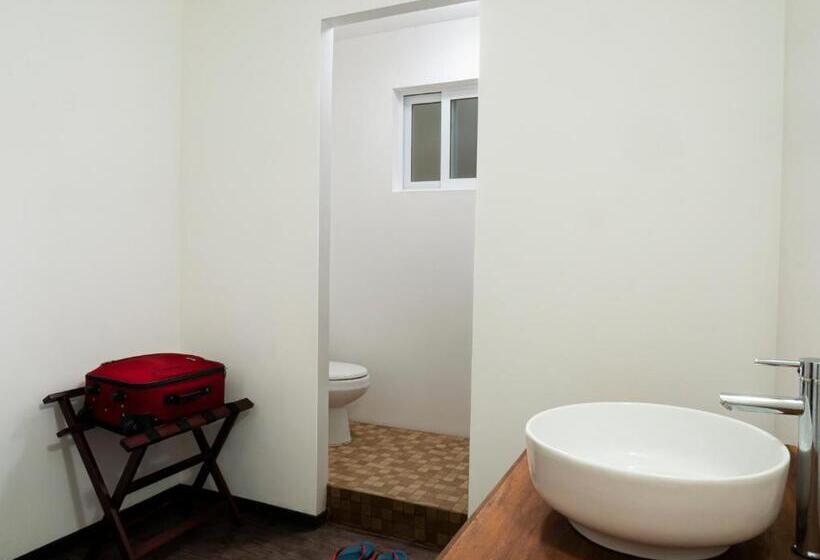 اتاق خانوادگی, Colorbox Beds And Rooms