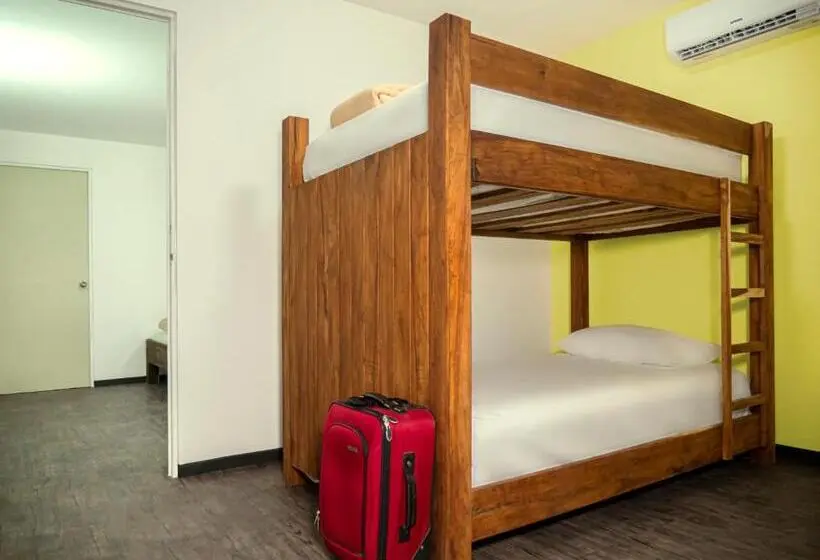 ファミリールーム, Colorbox Beds And Rooms