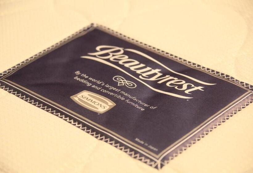 חדר סופריור, Quintessa Hotel Sapporo Susukino