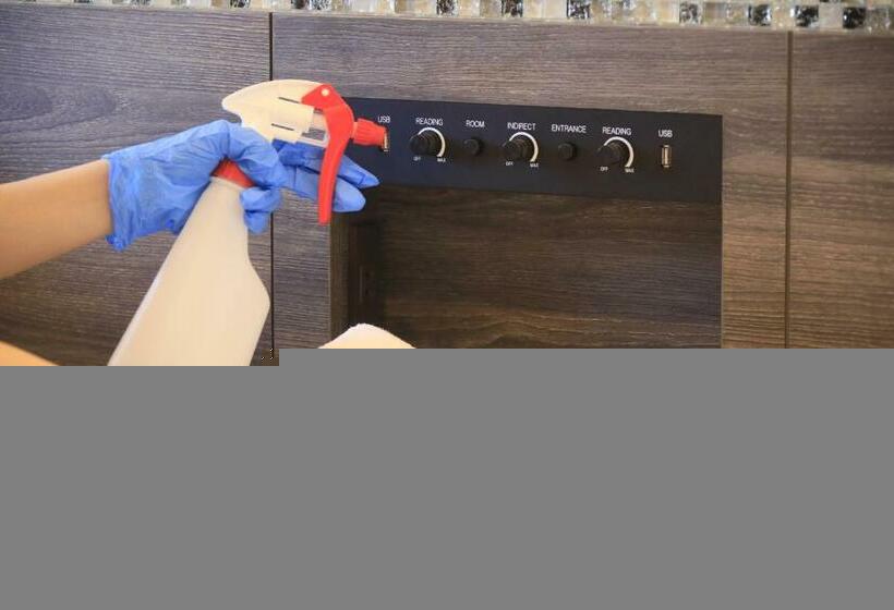 חדר סופריור, Quintessa Hotel Sapporo Susukino