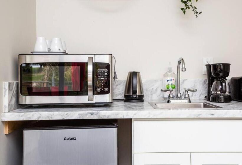 スタンダードスタジオ, Explore Balboa Park From Your Cozy Studio W Patio