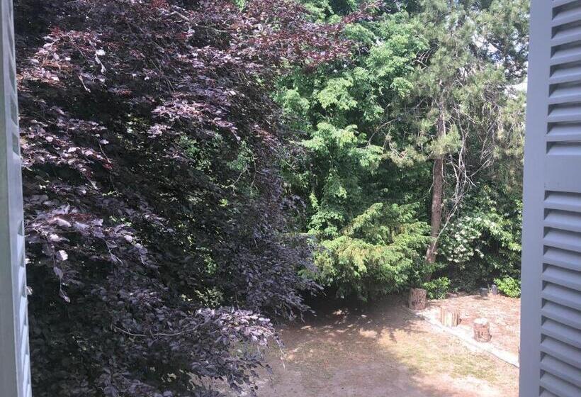 Номер Superior, La Grande Carrée