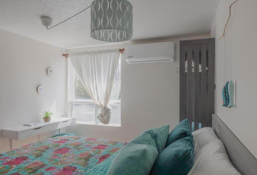 스탠다드 룸 킹사이즈 침대, Jaune Hôtel Boutique