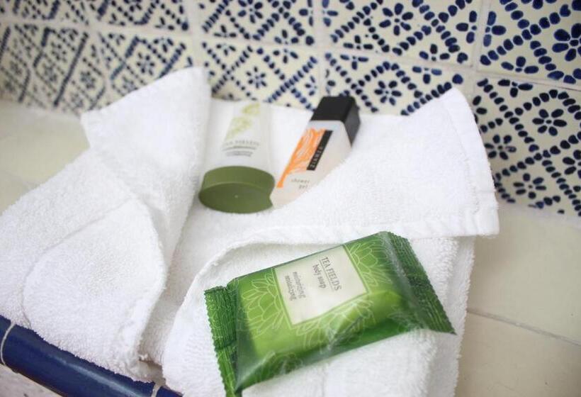 스탠다드 룸 킹사이즈 침대, La Casona De Los Colibríes