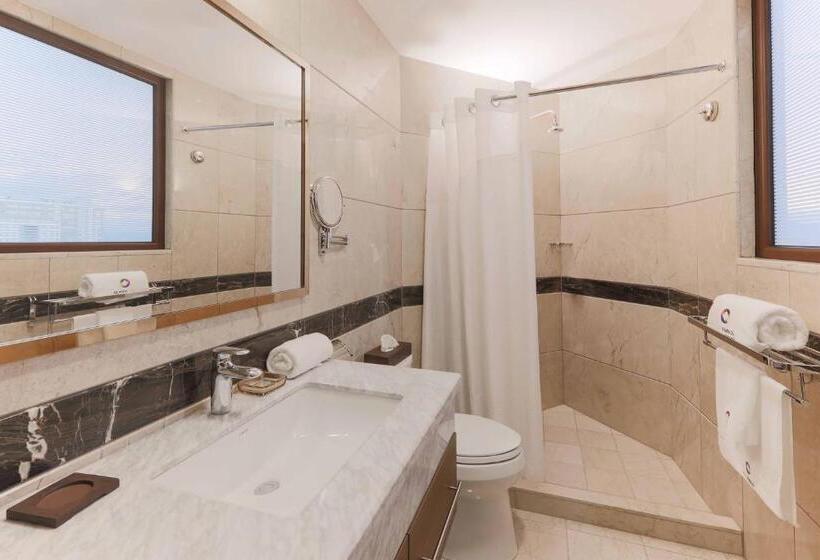 استودیوی استاندارد, Vista Quince