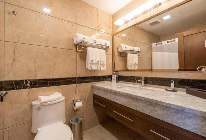 سوییت جونیور, Vista Quince