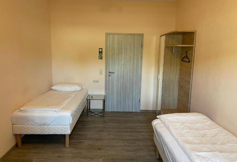 Трежместный Номер Economy, Relax Hotel Ludwigshafen