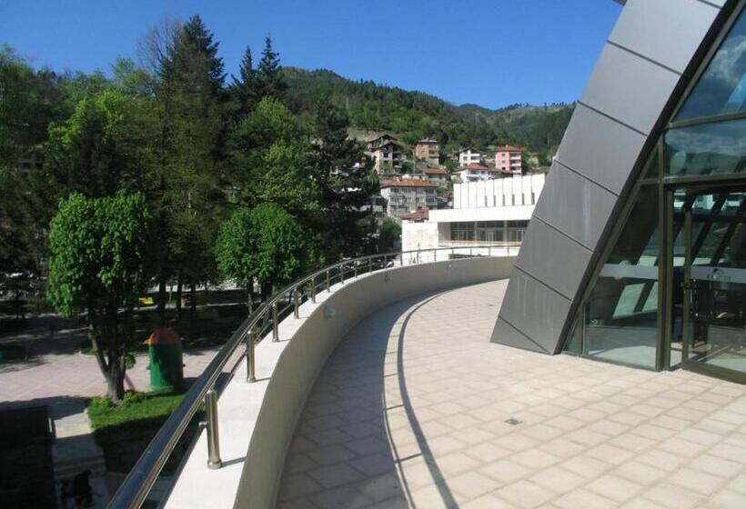 غرفة قياسية, Evridika