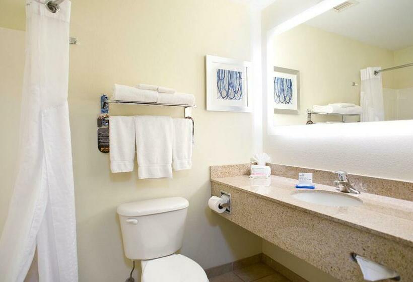 غرفة قياسية سرير كينج, Holiday Inn Express Hotel & Suites Brookings, An Ihg