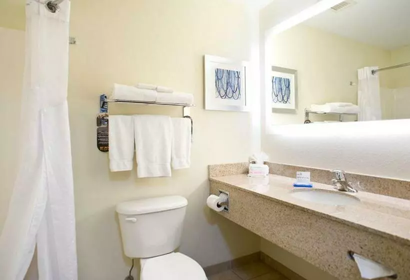 اتاق استاندارد با تخت بزرگ, Holiday Inn Express Hotel & Suites Brookings, An Ihg