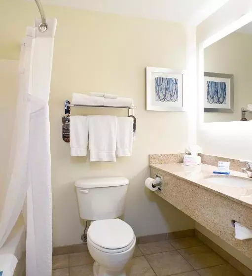 اتاق استاندارد با تخت بزرگ, Holiday Inn Express Hotel & Suites Brookings, An Ihg