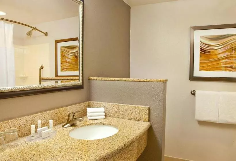 キングサイズベッドのスタンダードルーム, Courtyard By Marriott Gettysburg