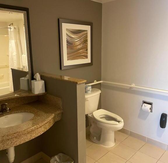Номер Стандарт Кровать Кинг Адаптированный для Инвалидов, Courtyard By Marriott Gettysburg
