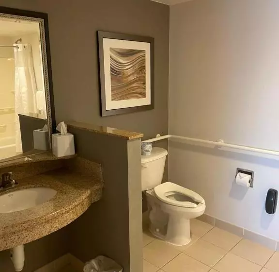 身障者適用キングサイズベッドルーム, Courtyard By Marriott Gettysburg