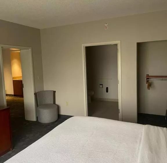 身障者適用キングサイズベッドルーム, Courtyard By Marriott Gettysburg