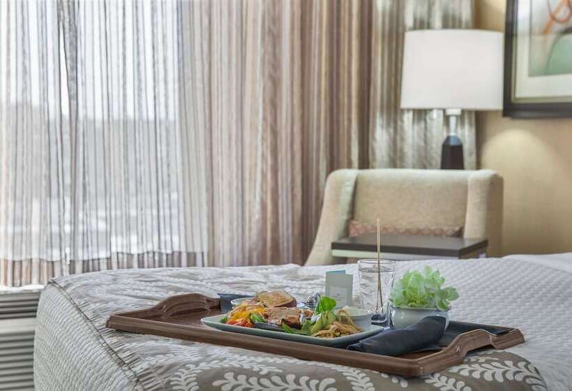장애인을 위한 더블 침대 스탠다드 룸, Crowne Plaza Greenville, An Ihg
