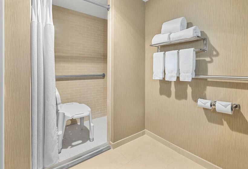 장애인을 위한 스탠다드 룸, Crowne Plaza Greenville, An Ihg