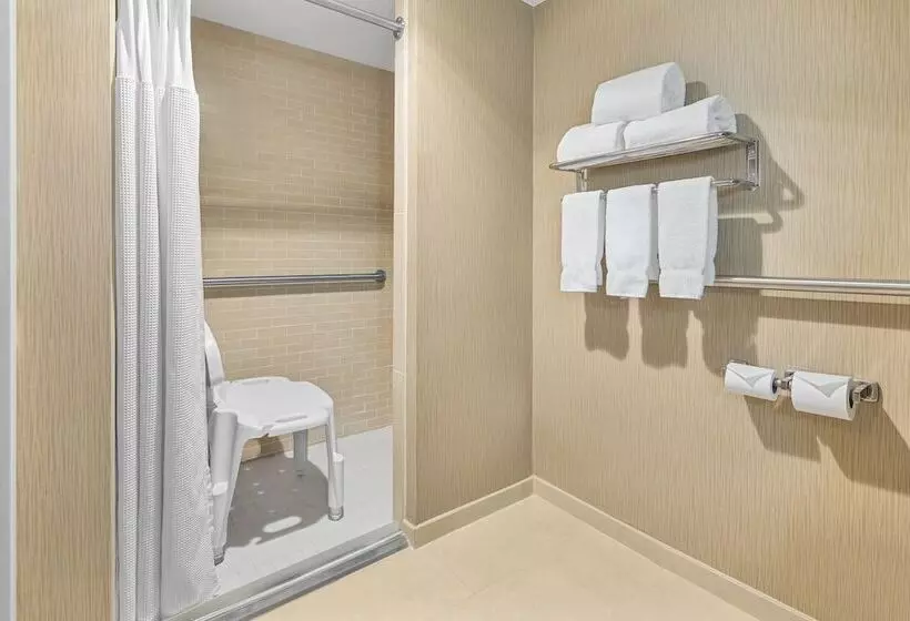 身障者適用スタンダードルーム, Crowne Plaza Greenville, An Ihg