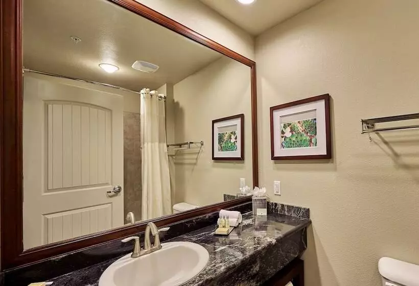 身障者適用ジュニアスイートルーム, Doubletree By Hilton Phoenix Gilbert
