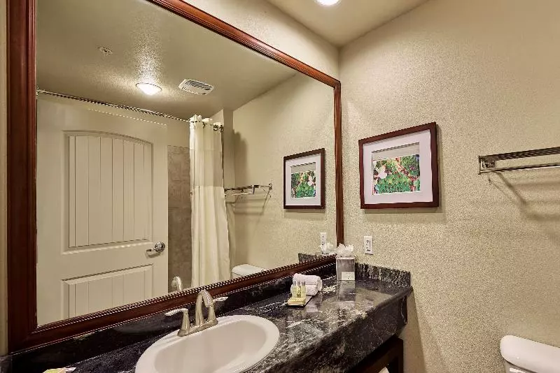 キングサイズベッドのスタンダードルーム, Doubletree By Hilton Phoenix Gilbert