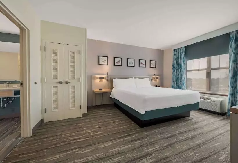 Sviitti King-vuode, Hilton Garden Inn Rockford