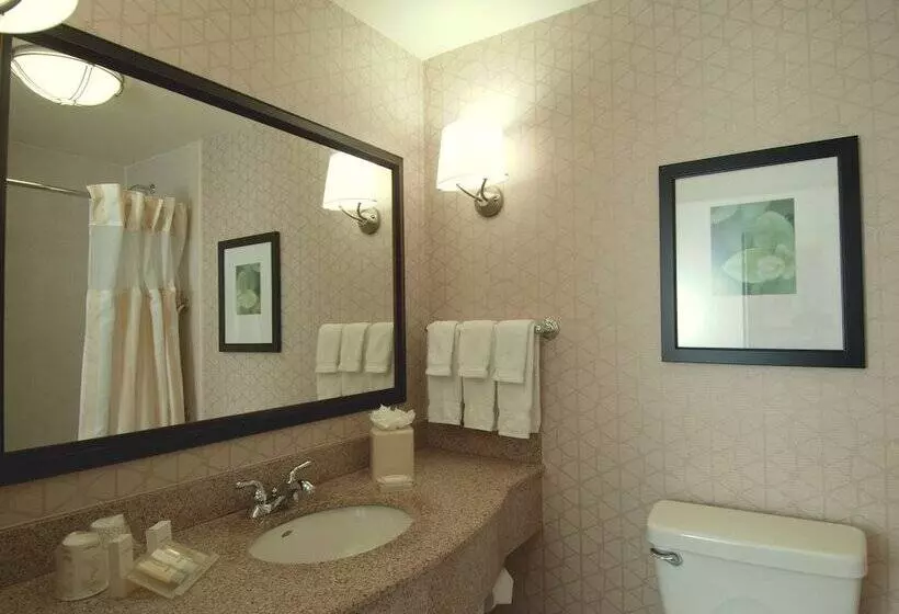 Sviitti King-vuode, Hilton Garden Inn Rockford