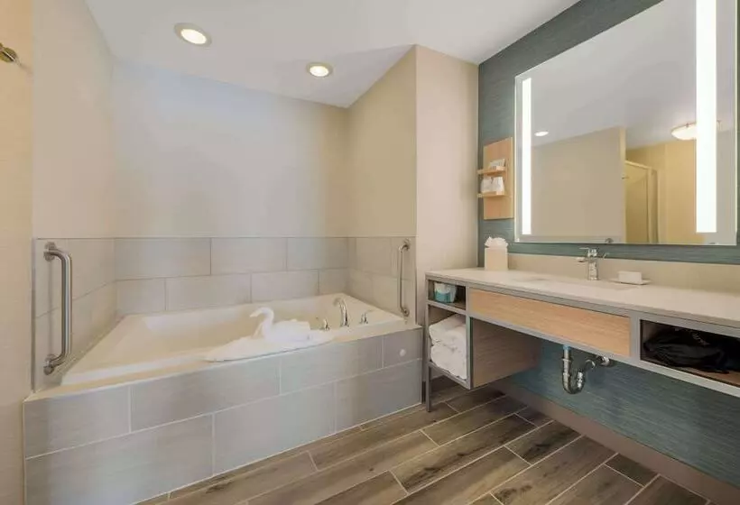 Sviitti King-vuode, Hilton Garden Inn Rockford