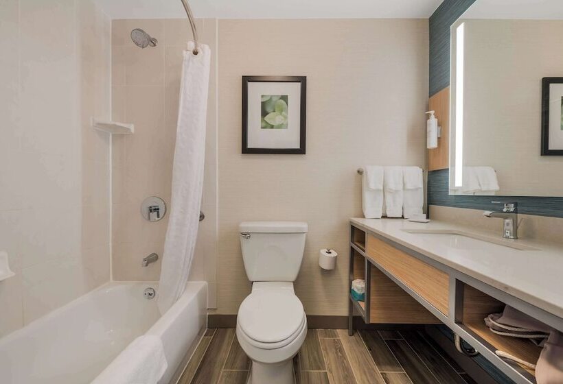 Suite Łóżko King Size, Hilton Garden Inn Rockford
