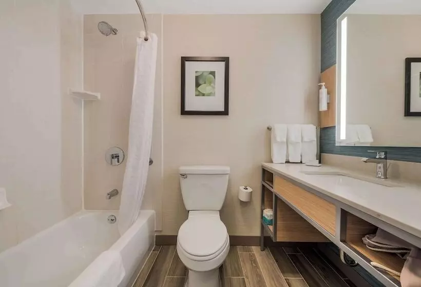 Sviitti King-vuode, Hilton Garden Inn Rockford