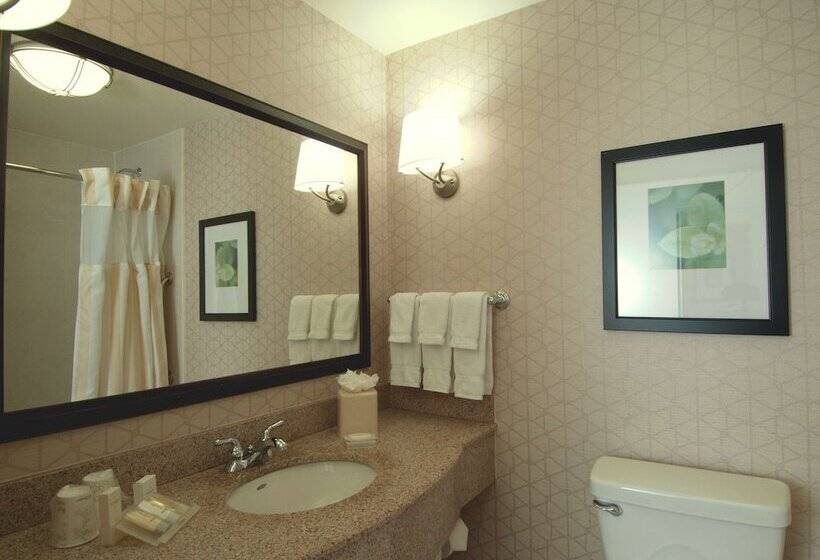 Pokój Standard, Hilton Garden Inn Rockford